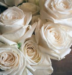 Heavenly Peace Sympathy Arrangement