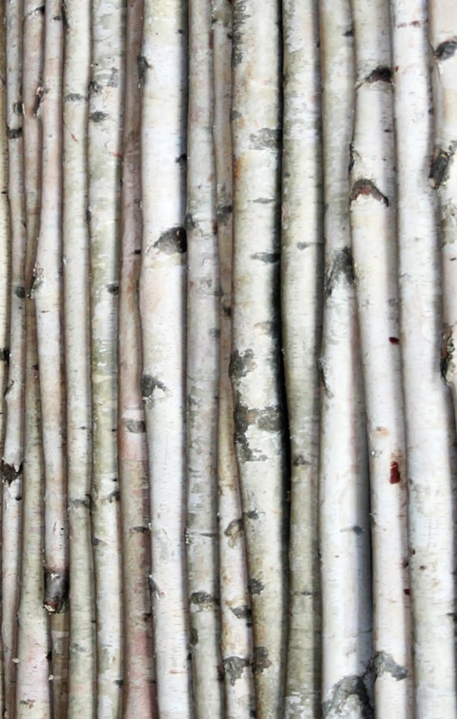 Birch Pole Upgrade