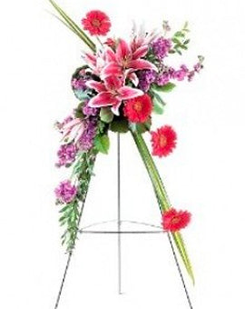 Stargazer Easel Spray