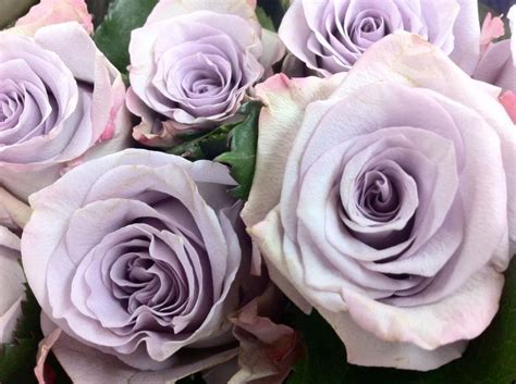 Modern Rose Arrangement