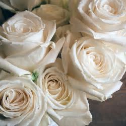 Classic Rose Bouquet