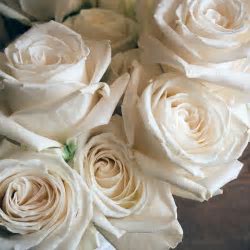 Modern Rose Arrangement